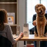 Consultation stylisme canin